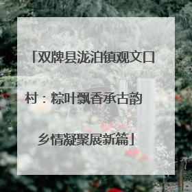 双牌县泷泊镇观文口村：粽叶飘香承古韵 乡情凝聚展新篇