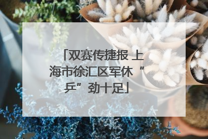 双赛传捷报 上海市徐汇区军休“乒”劲十足