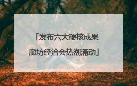 发布六大硬核成果 廊坊经洽会热潮涌动