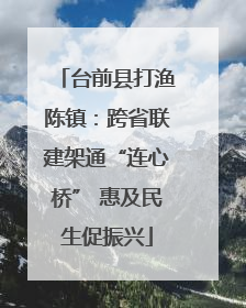 台前县打渔陈镇：跨省联建架通“连心桥” 惠及民生促振兴