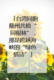 台湾同胞随州共植“同根林”，那是跨越海峡的“绿色情诗”