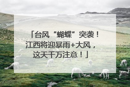 台风“蝴蝶”突袭！江西将迎暴雨+大风，这天千万注意！