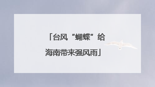 台风“蝴蝶”给海南带来强风雨