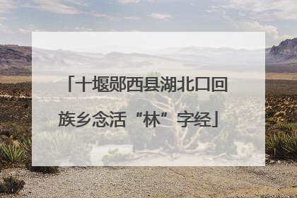 十堰郧西县湖北口回族乡念活“林”字经