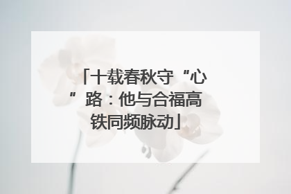 十载春秋守“心”路：他与合福高铁同频脉动