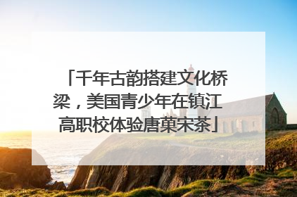 千年古韵搭建文化桥梁，美国青少年在镇江高职校体验唐菓宋茶