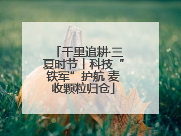 千里追耕·三夏时节丨科技“铁军”护航 麦收颗粒归仓