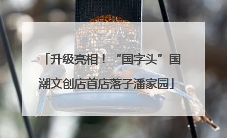 升级亮相！“国字头”国潮文创店首店落子潘家园