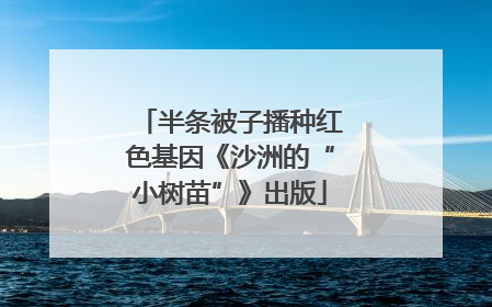 半条被子播种红色基因《沙洲的“小树苗”》出版