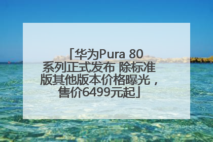 华为Pura 80系列正式发布 除标准版其他版本价格曝光，售价6499元起