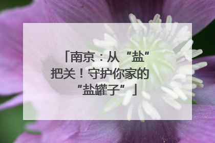 南京：从“盐”把关！守护你家的“盐罐子”