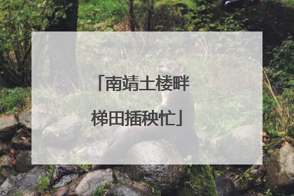 南靖土楼畔 梯田插秧忙