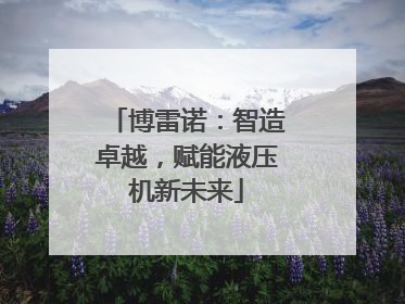 博雷诺：智造卓越，赋能液压机新未来