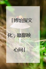 博馆探文化，赣鄱映心间