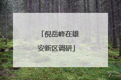 倪岳峰在雄安新区调研