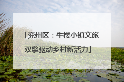 兖州区：牛楼小镇文旅双擎驱动乡村新活力