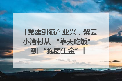 党建引领产业兴，紫云小湾村从 “靠天吃饭” 到 “抱团生金”
