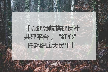 党建领航搭建医社共建平台，“红心”托起健康大民生
