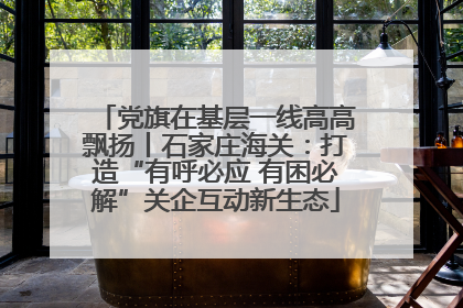 党旗在基层一线高高飘扬丨石家庄海关：打造“有呼必应 有困必解”关企互动新生态