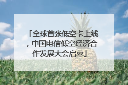全球首张低空卡上线，中国电信低空经济合作发展大会启幕