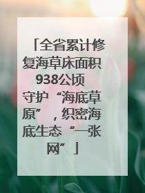 全省累计修复海草床面积938公顷 守护“海底草原”，织密海底生态“一张网”