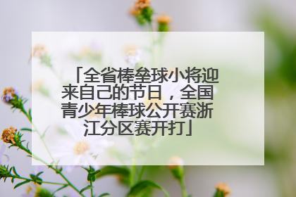 全省棒垒球小将迎来自己的节日，全国青少年棒球公开赛浙江分区赛开打