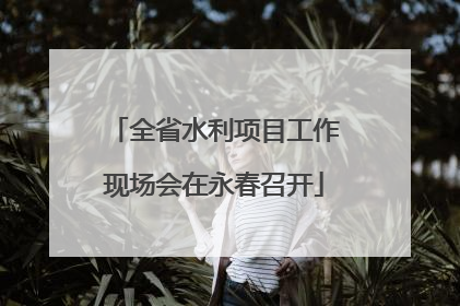 全省水利项目工作现场会在永春召开