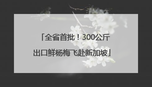 全省首批！300公斤出口鲜杨梅飞赴新加坡