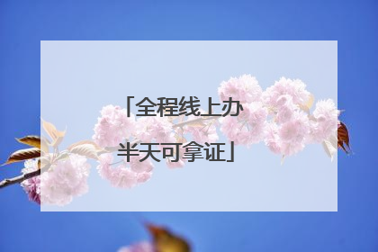 全程线上办 半天可拿证