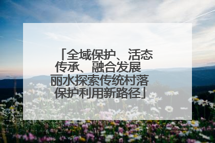 全域保护、活态传承、融合发展 丽水探索传统村落保护利用新路径