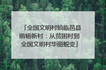 全国文明村镇临邑县前杨新村：从贫困村到全国文明村华丽蜕变