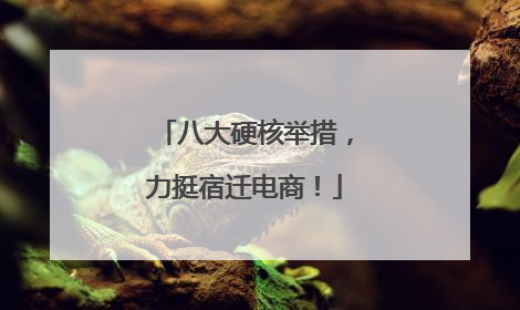 八大硬核举措,力挺宿迁电商!
