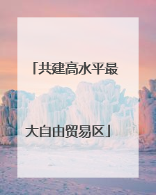 共建高水平最大自由贸易区