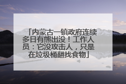 内蒙古一镇政府连续多日有熊出没！工作人员：它没攻击人，只是在垃圾桶翻找食物