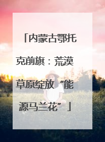 内蒙古鄂托克前旗：荒漠草原绽放“能源马兰花”