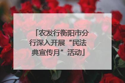 农发行衡阳市分行深入开展“民法典宣传月”活动