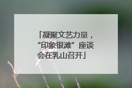 凝聚文艺力量，“印象银滩”座谈会在乳山召开