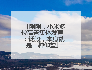 刚刚，小米多位高管集体发声：诋毁，本身就是一种仰望