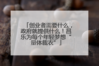 创业者需要什么，政府就提供什么！昌乐为每个年轻梦想“量体裁衣”