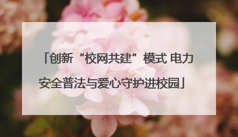 创新“校网共建”模式 电力安全普法与爱心守护进校园