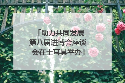 助力共同发展 第八届进博会座谈会在土耳其举办