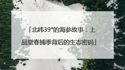 北纬39°的海参故事：上品堂春捕季背后的生态密码