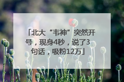 北大“韦神”突然开号，现身4秒，说了3句话，吸粉12万