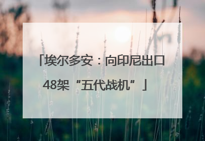 埃尔多安：向印尼出口48架“五代战机”