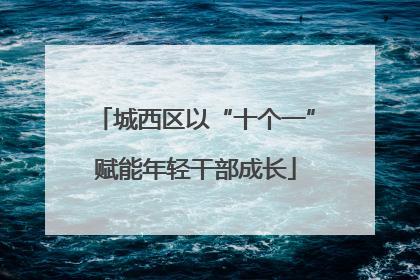 城西区以“十个一”赋能年轻干部成长