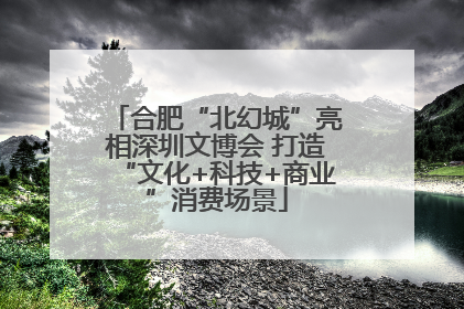 合肥“北幻城”亮相深圳文博会 打造“文化+科技+商业”消费场景