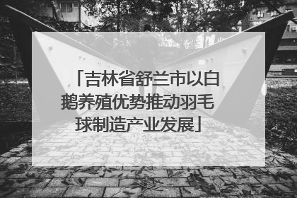 吉林省舒兰市以白鹅养殖优势推动羽毛球制造产业发展