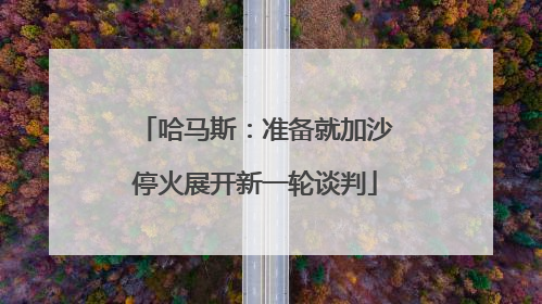 哈马斯：准备就加沙停火展开新一轮谈判