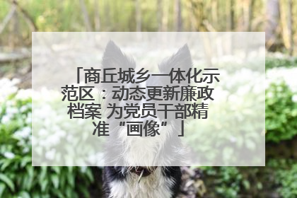 商丘城乡一体化示范区：动态更新廉政档案 为党员干部精准“画像”