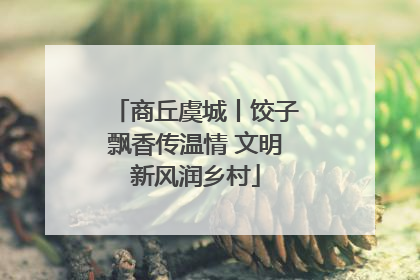 商丘虞城丨饺子飘香传温情 文明新风润乡村